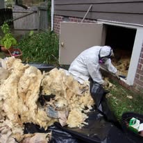 Crawl Space Treatment