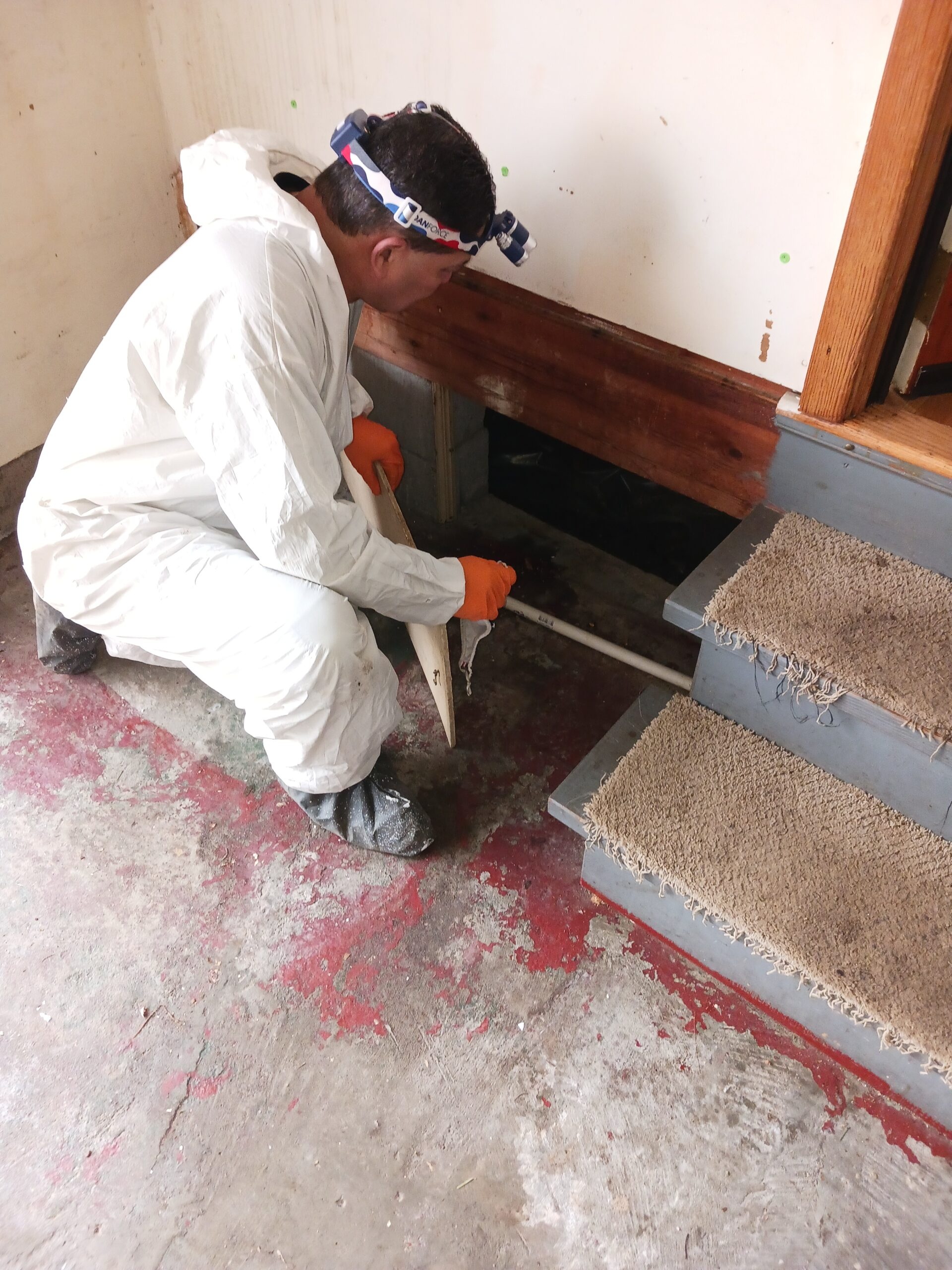 Crawl Space 1